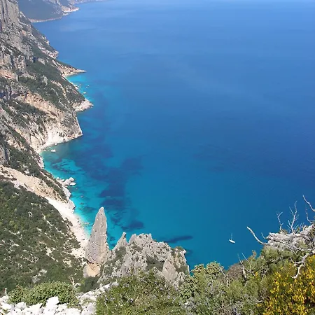 Nicoletta Santa Maria Navarrese